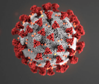 Here is how clinical labs test for COVID-19